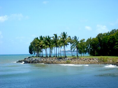 Palm trees sea water photo