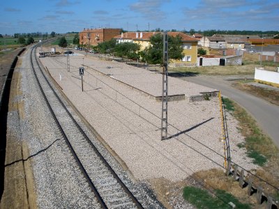 Piña de Campos 09
