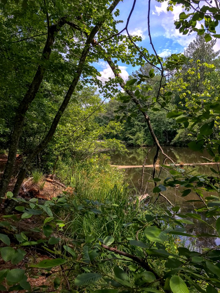 Photos-OutdoorImage-AdobeStock-IslandFord(11)