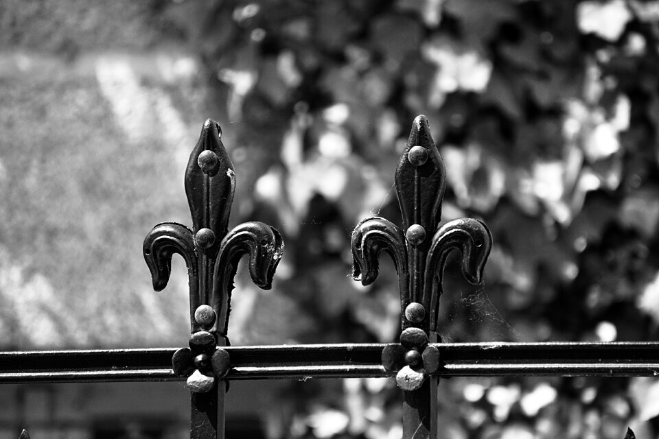 Black and white protection barrier