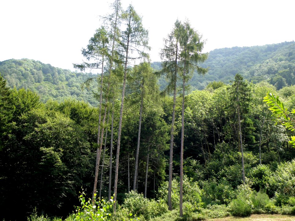 Pian delle Noci 5