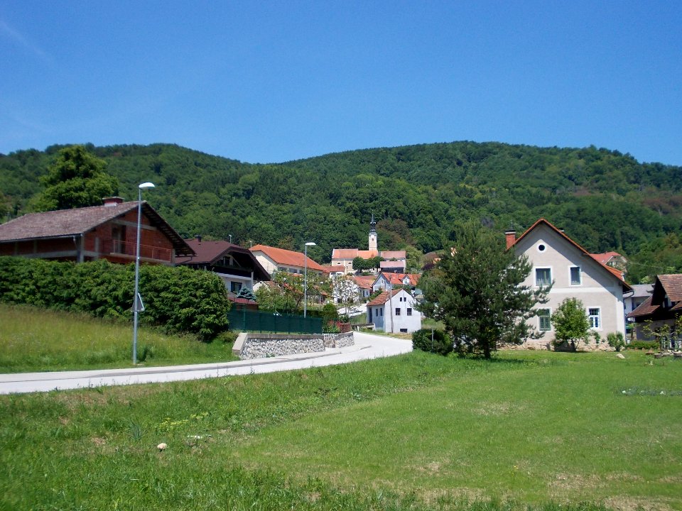 Pišece 12