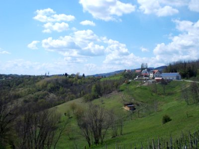 Pišece 03