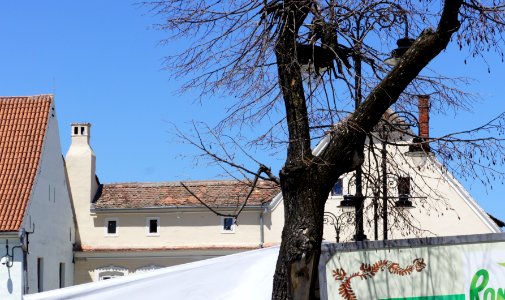 Piaţa Mică din Sibiu04