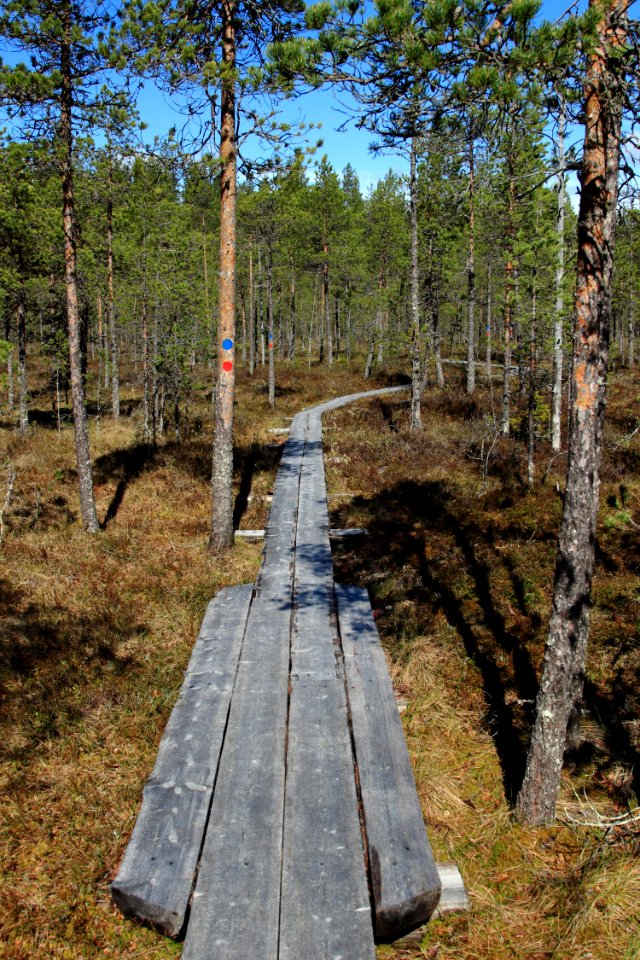 Pilpasuo Nature Trail Oulu 20150524