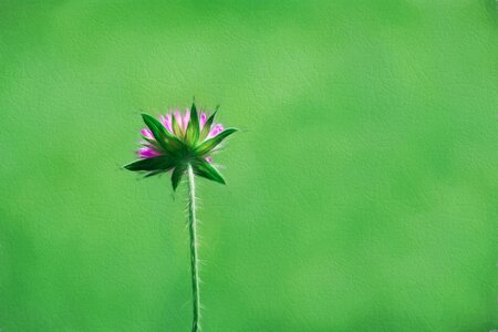 Paint painting image