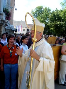 Pilgrimage of Diocese of Celje to Brezje 03