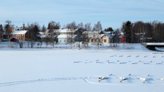 Pikisaari Oulu 20210207