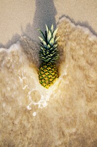 Beach sand tropical