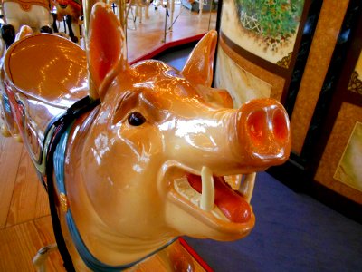 Pig face Carousel Philly photo