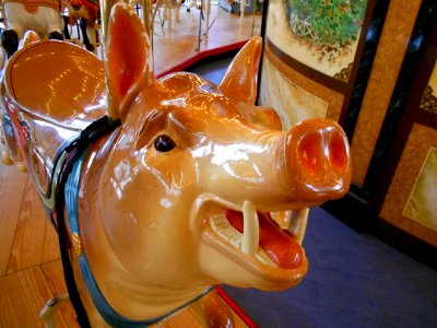 Pig face Carousel Philly