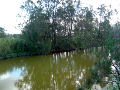Pimpama River 2