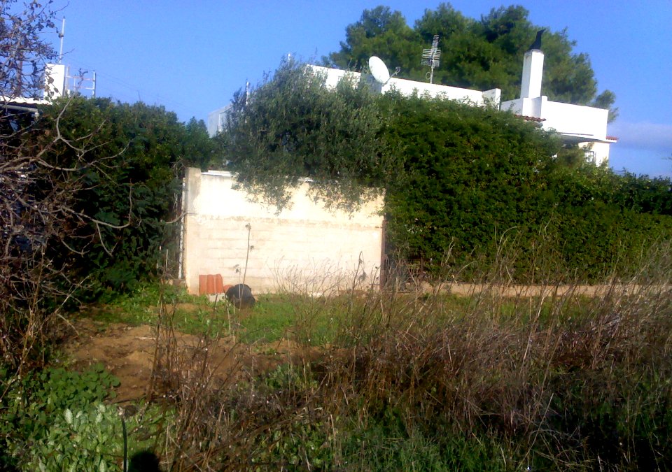 PigadiAlikou1