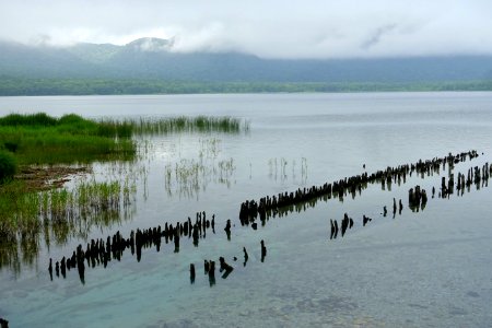 Pilings - Lake Usori - Mount Osore - Mutsu, Aomori - DSC00250