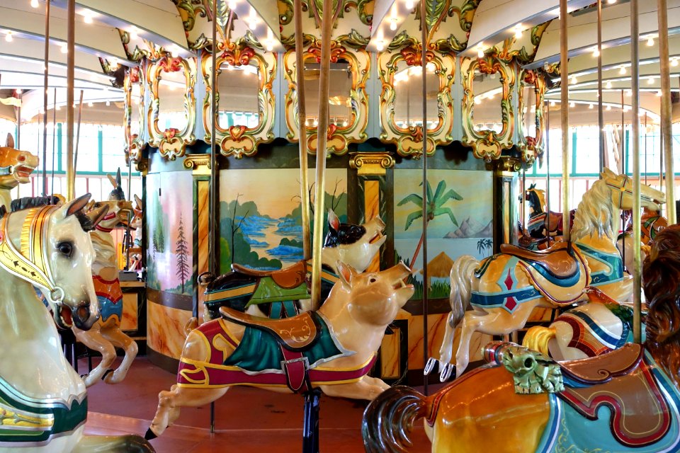 Pigs - Dentzel Carousel, San Francisco Zoo - San Francisco, CA - DSC03420