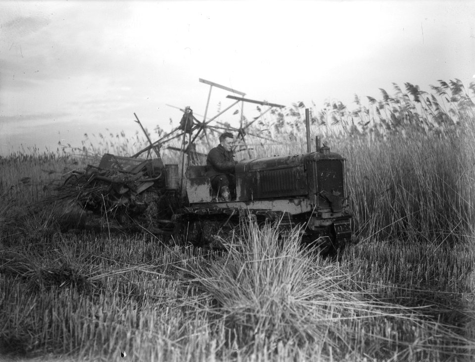 Piet in de Noordoostpolder, Bestanddeelnr 901-3670