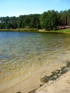 Piecki na jez Jezuickim 09-2012