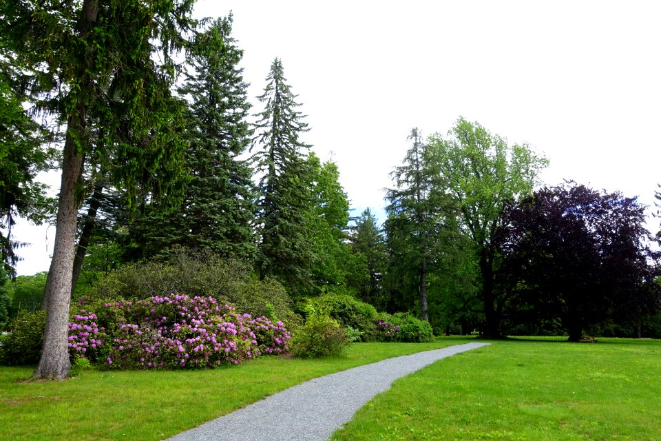 Pierce Meadow - Doyle Community Park & Center - Leominster, Massachusetts - DSC06270