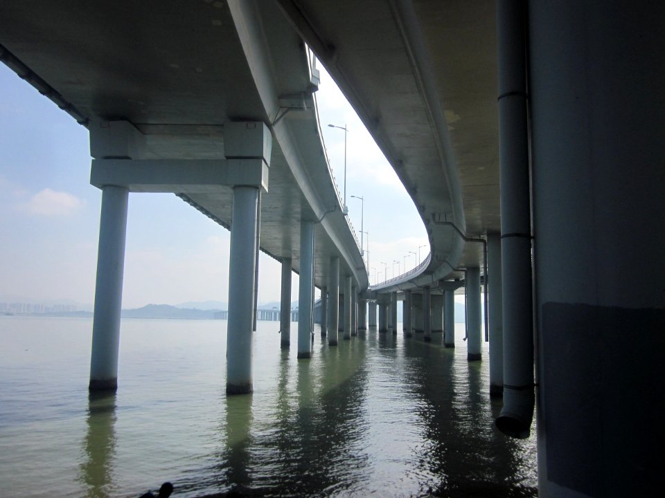 Piers of Shenzhen Bay Bridge1