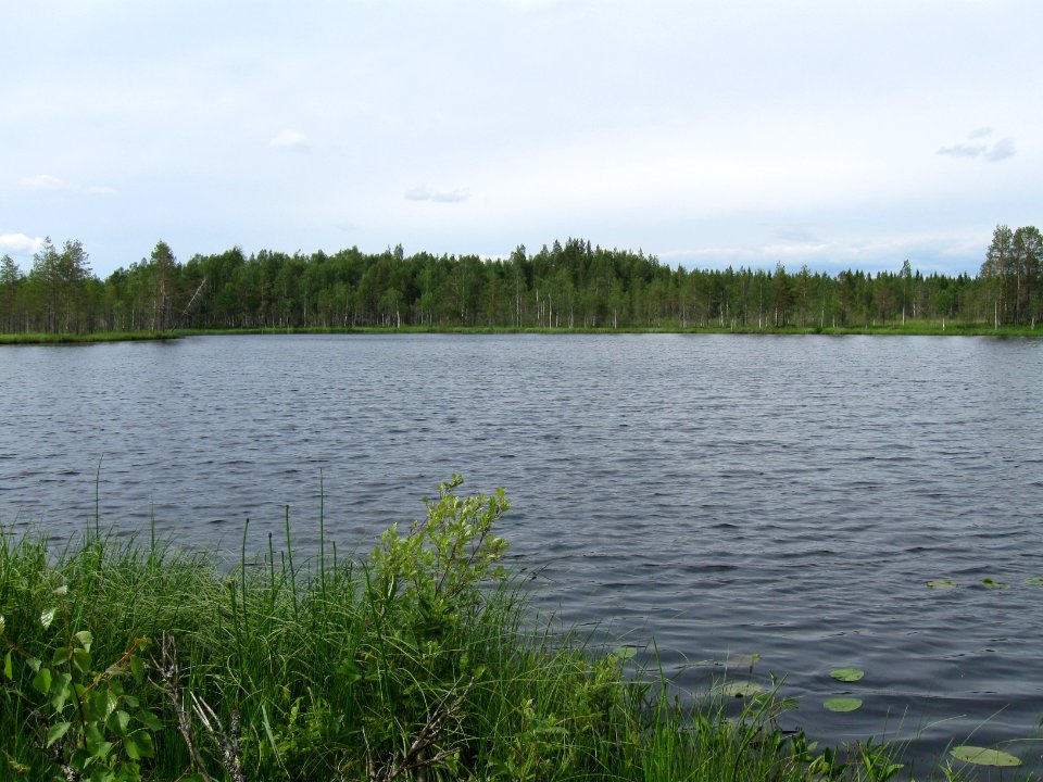 Pieni Kuikkalampi Utajärvi