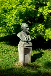 Pietro Romualdo Pirotta - Orto botanico - Rome, Italy - DSC09818