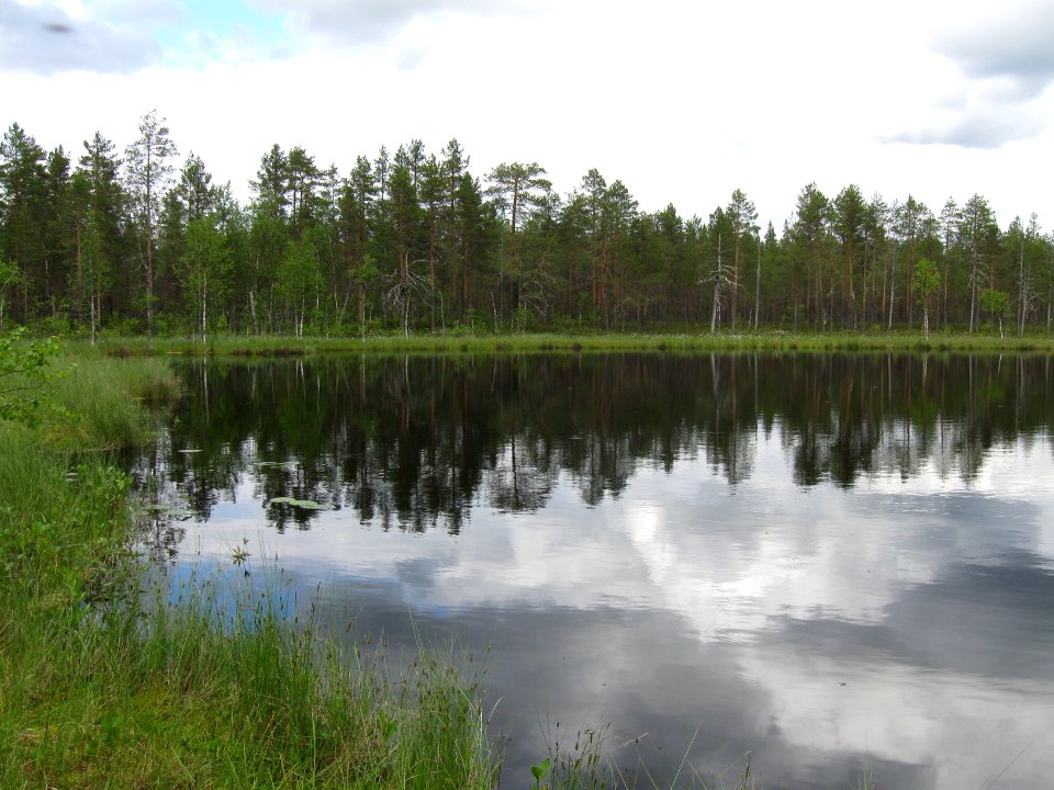 Piilolampi Vaala