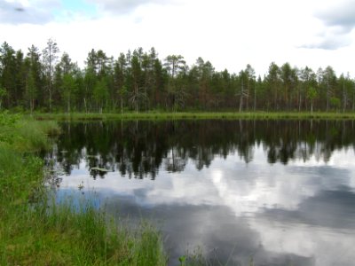 Piilolampi Vaala