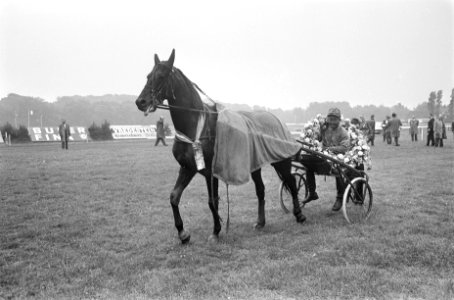 Pierre Arson met paard, Bestanddeelnr 920-4347