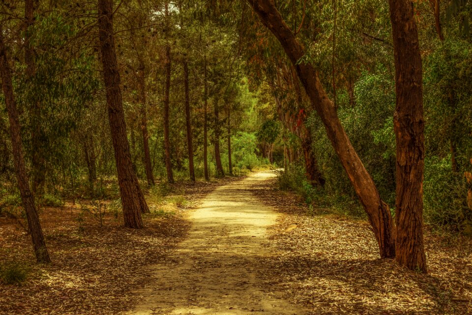 Nature landscape scenery