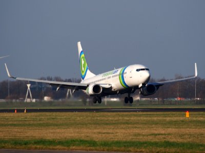 PH-HSB Transavia Boeing 737-8K2(WL), landing at Schiphol (AMS - EHAM), Netherlands, pic1