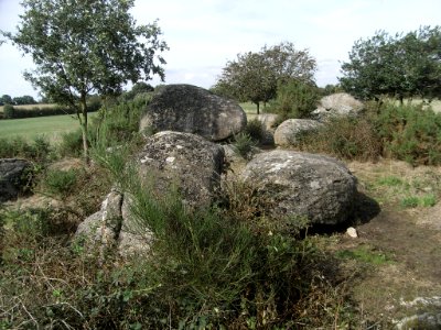 Pierres branlantes de la Davière 01