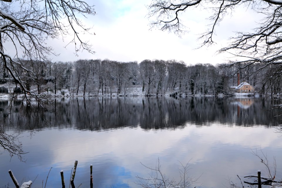 Pfaueninsel from Düppeler Forst with snow 2021-01-30 02