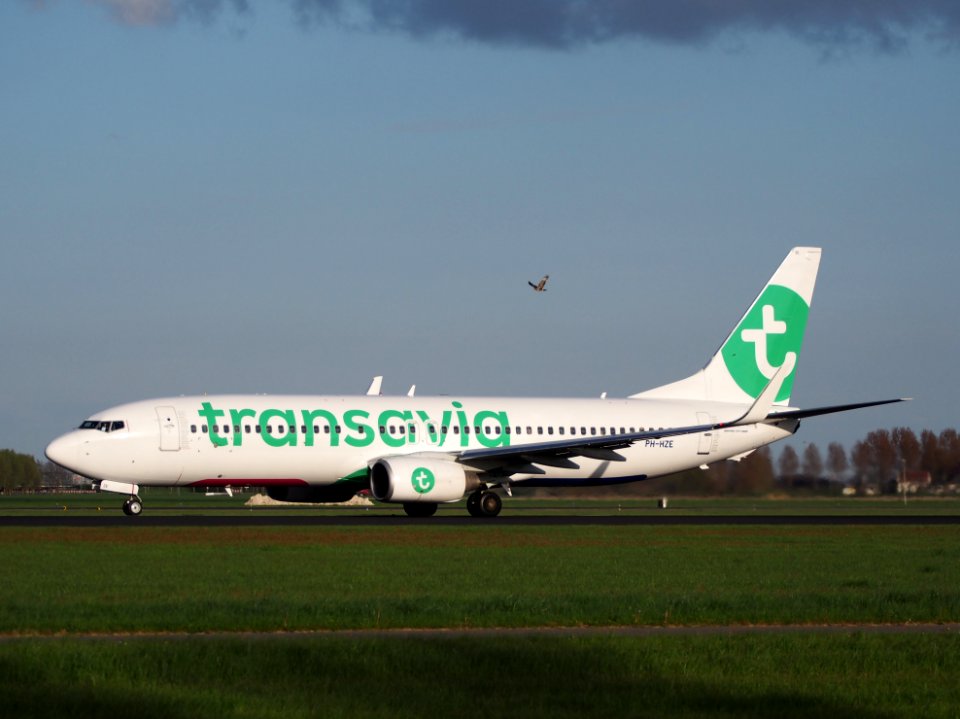 PH-HZE Transavia Boeing 737-8K2(WL) takeoff from Polderbaan, Schiphol (AMS - EHAM) at sunset, pic1
