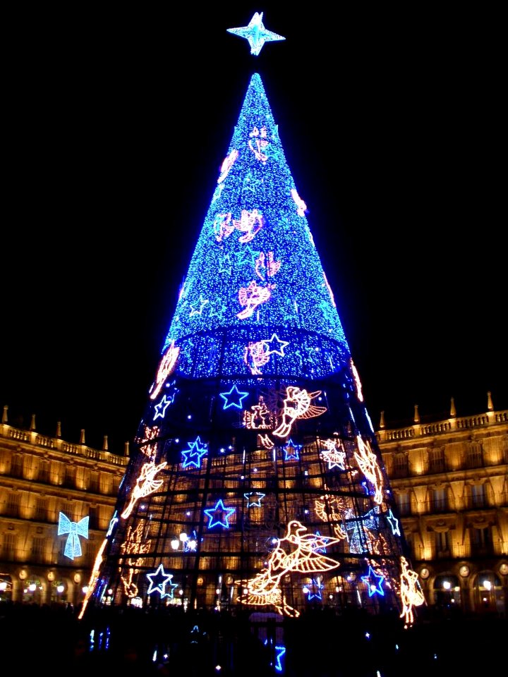 Salamanca - Plaza Mayor, nocturno 1