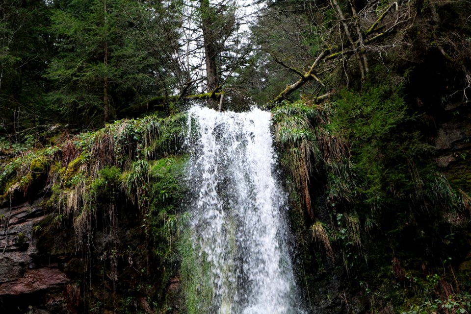 Sankenbach Waterfalls 2020-03-12 47