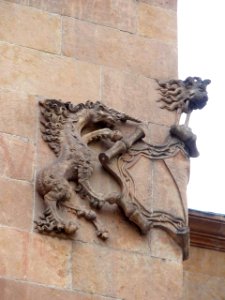 Salamanca - Palacio de Monterrey 8