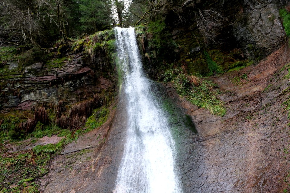 Sankenbach Waterfalls 2020-03-12 48
