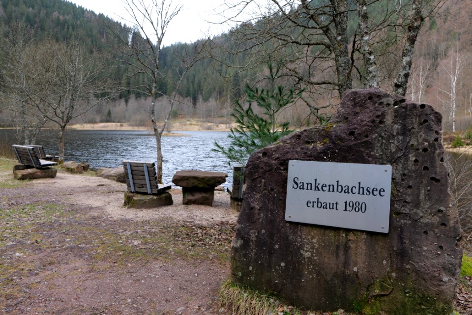 Sankenbachsee 2020-03-12 11