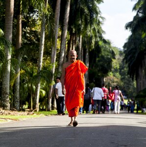 Asia buddhism travel