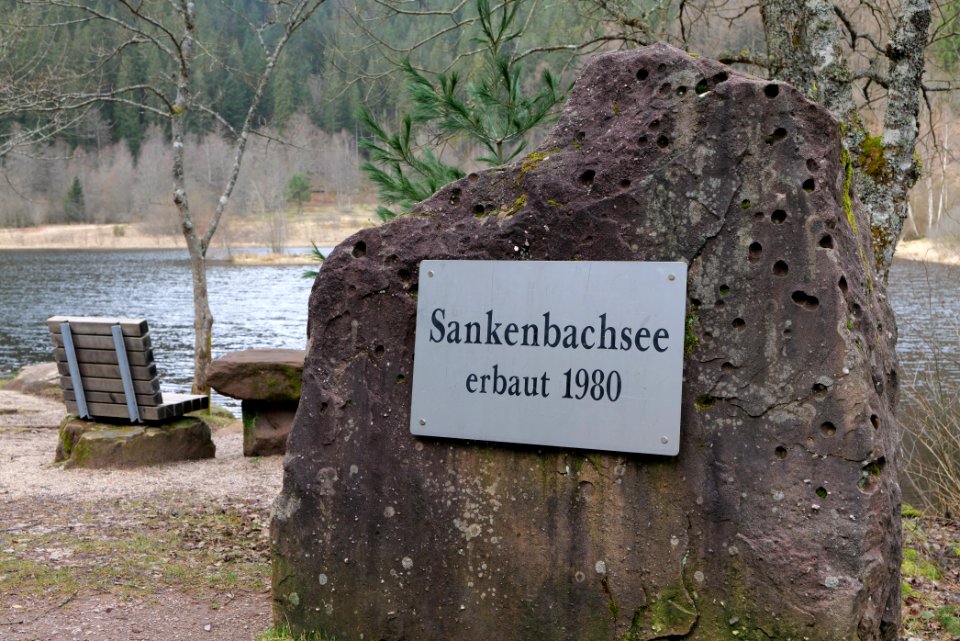 Sankenbachsee 2020-03-12 10