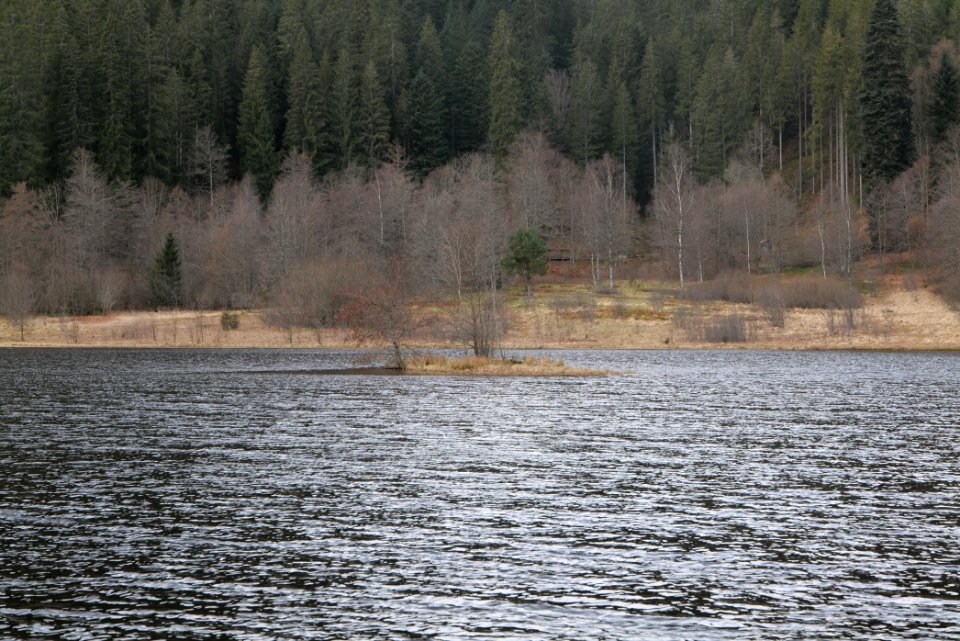 Sankenbachsee 2020-03-12 15