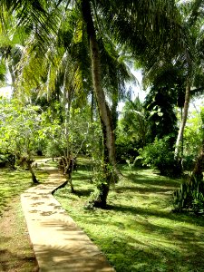 Sankyo Garden - DSC01218