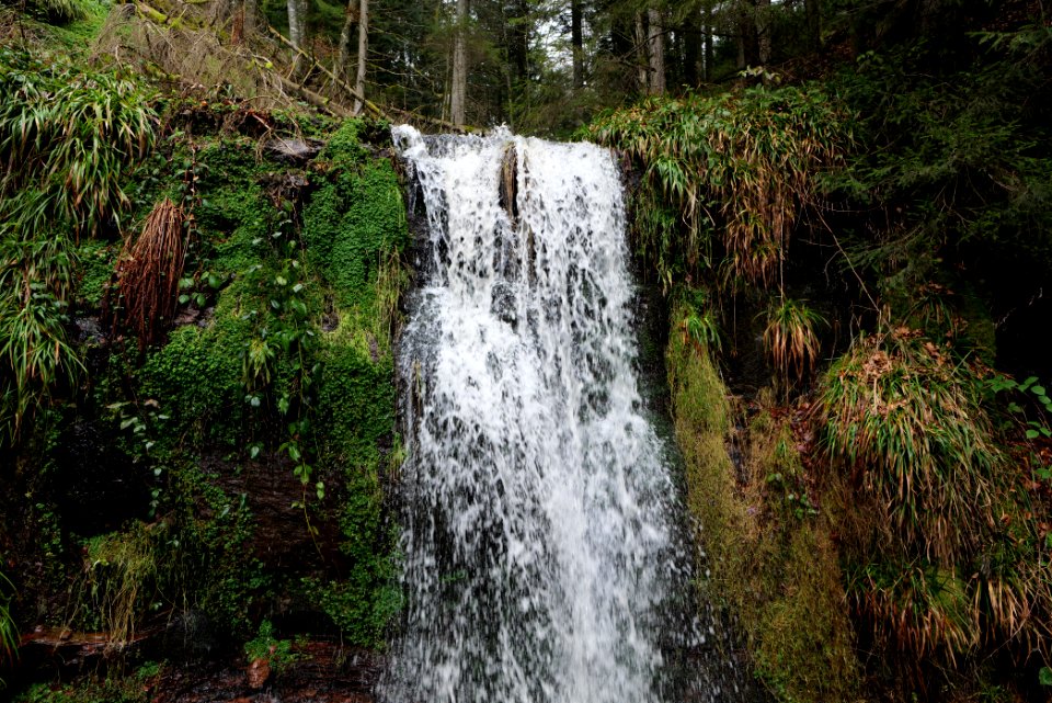 Sankenbach Waterfalls 2020-03-12 72