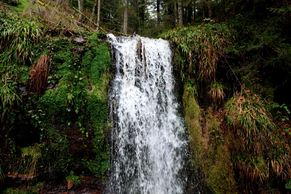 Sankenbach Waterfalls 2020-03-12 73