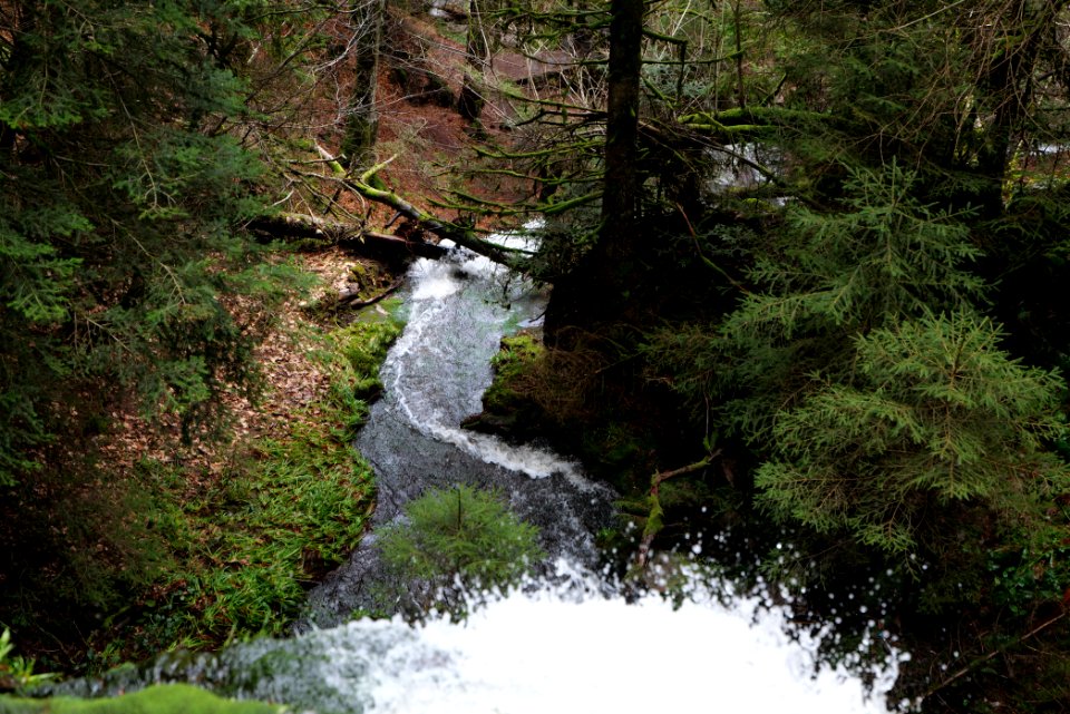 Sankenbach Waterfalls 2020-03-12 69