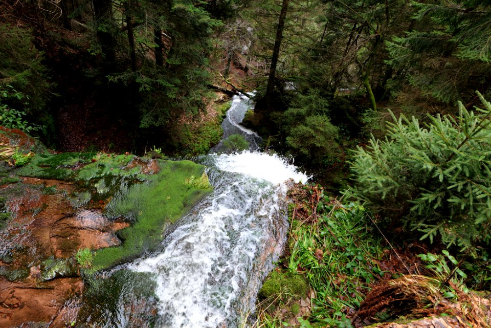 Sankenbach Waterfalls 2020-03-12 66