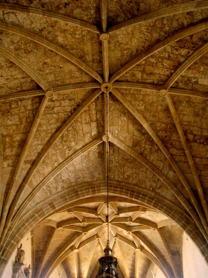 Salas - Colegiata de Santa María la Mayor 16