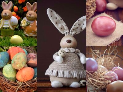 Colorful eggs hare happy easter photo