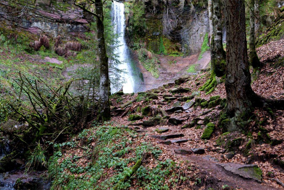 Sankenbach Waterfalls 2020-03-12 23