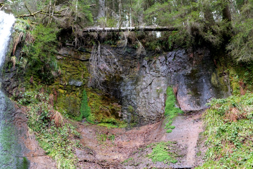 Sankenbach Waterfalls 2020-03-12 42